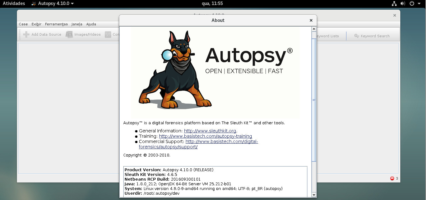 Debian 9.9 - Kernel 4.9 - Java 8 OpenJDK